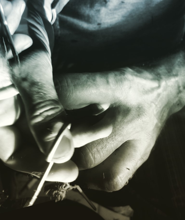 Hands for creativity