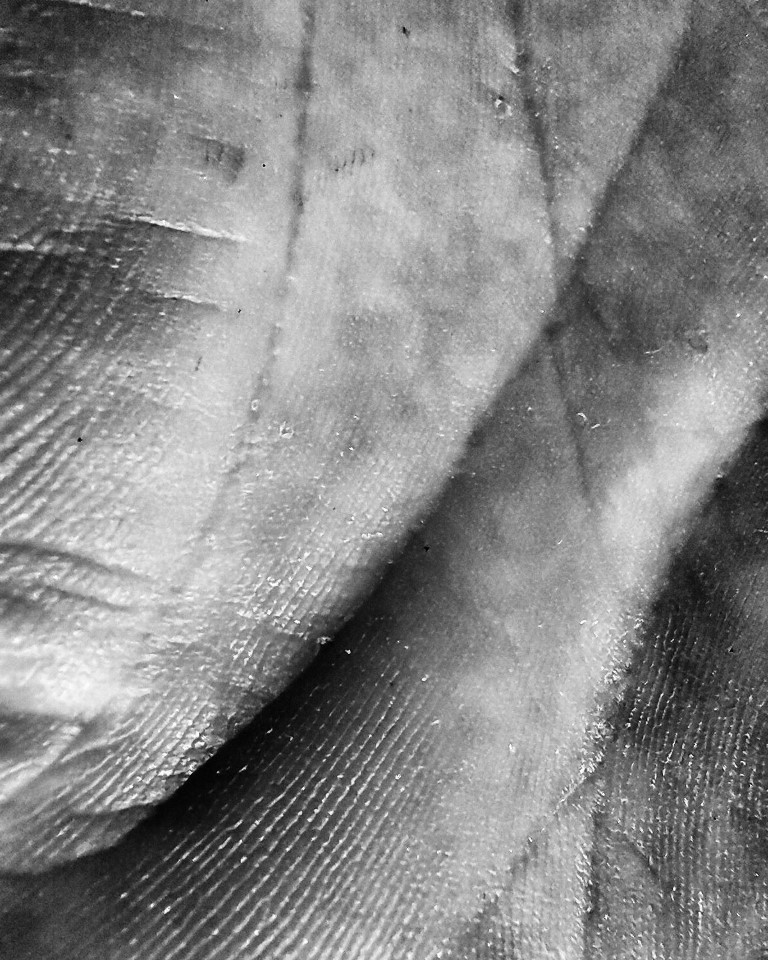 Hands for work